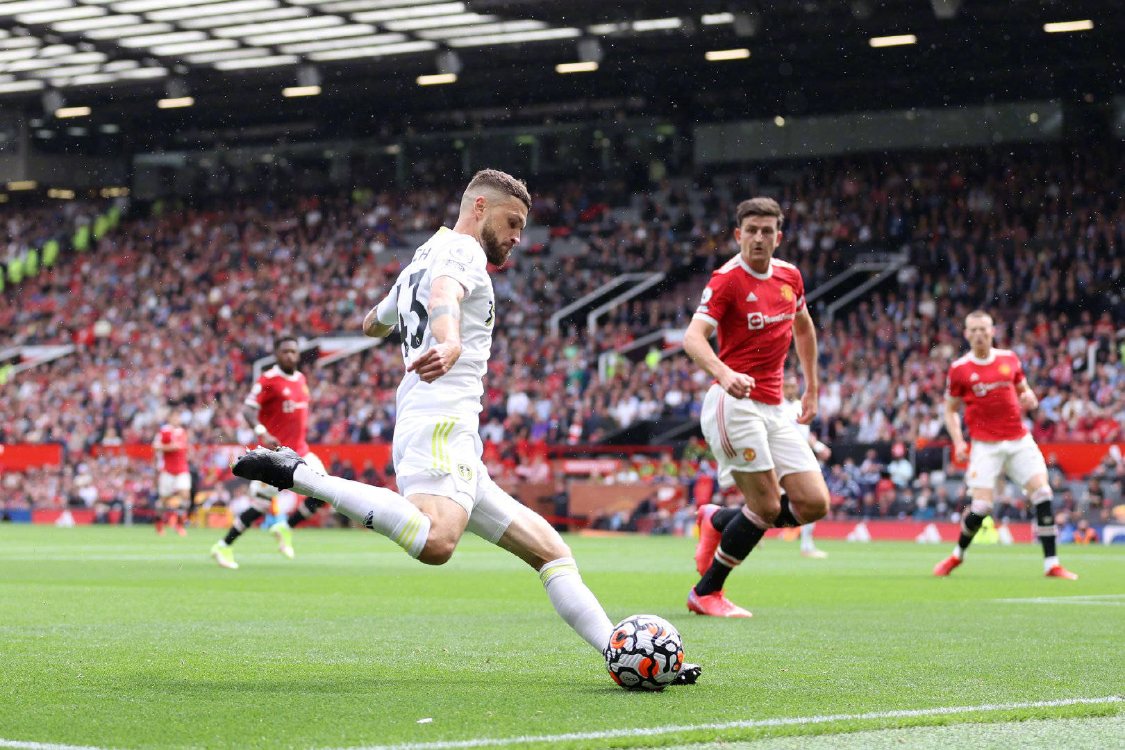 在这个新的 在这个新的